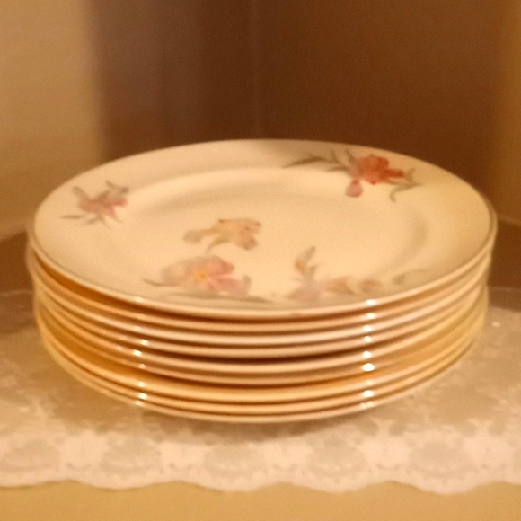 Vintage Universal Cambridge Iris Plate Bundle - 9 - 9.25" Dinner Plates - Picture 6 of 11